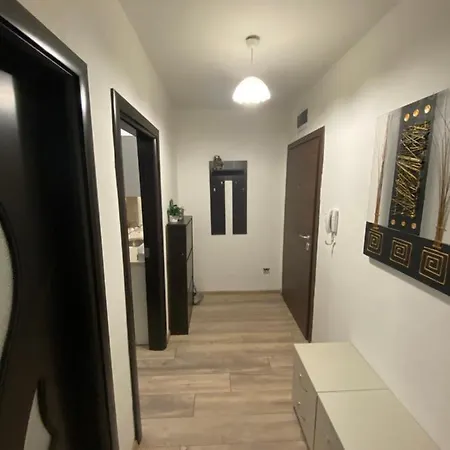 Apartmán Brand New Cozy 1br Flat With Ac & Free Street Parking *
